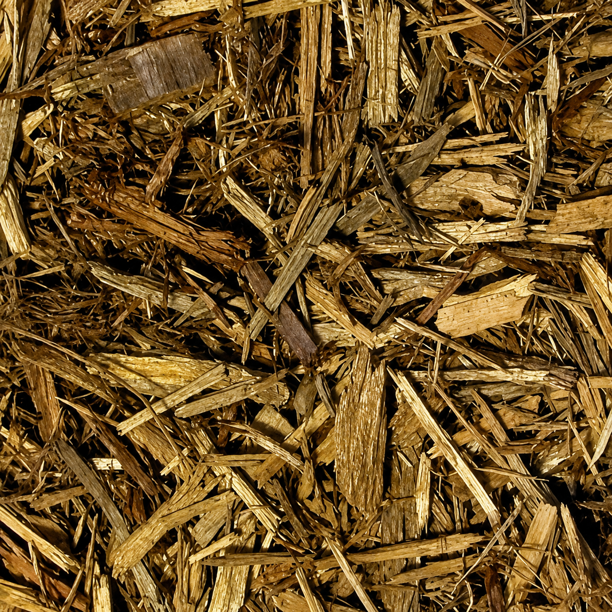 zoomed-forest-floor-bedding-substrat-de-cypres-100-naturel-pour-terrarium