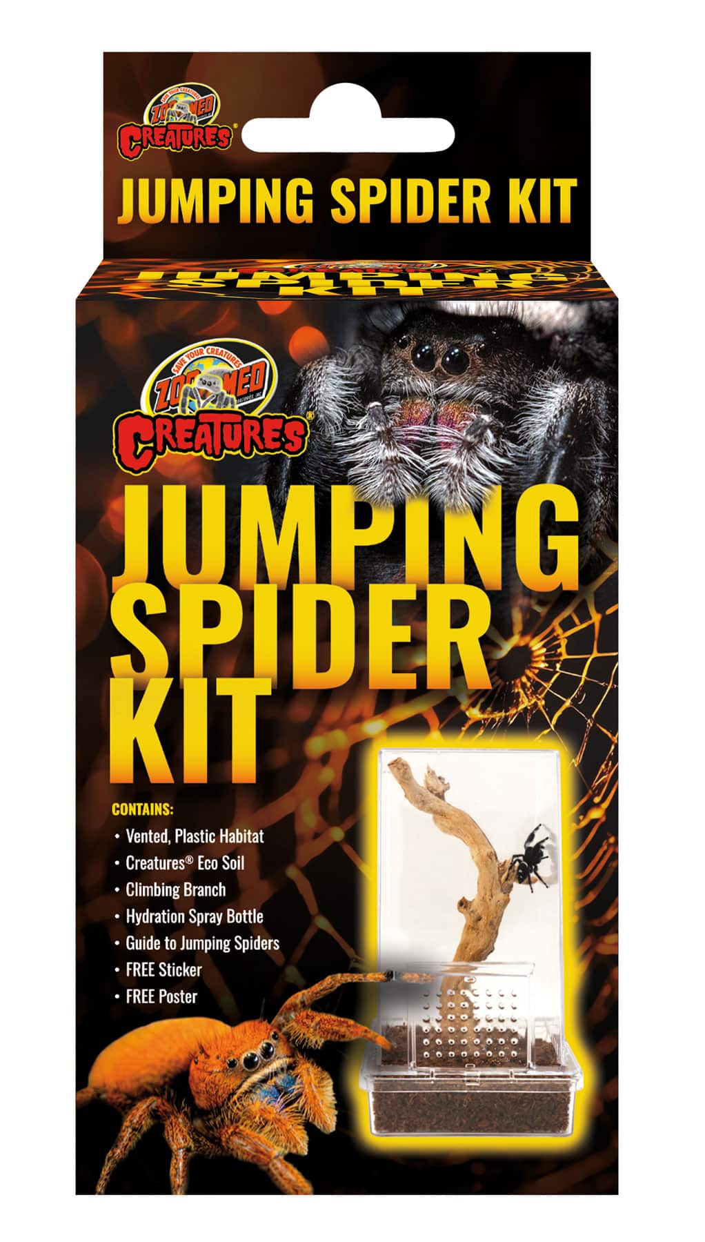 zoomed-jumping-spider-kit-habitat-ventile-pour-arraignees