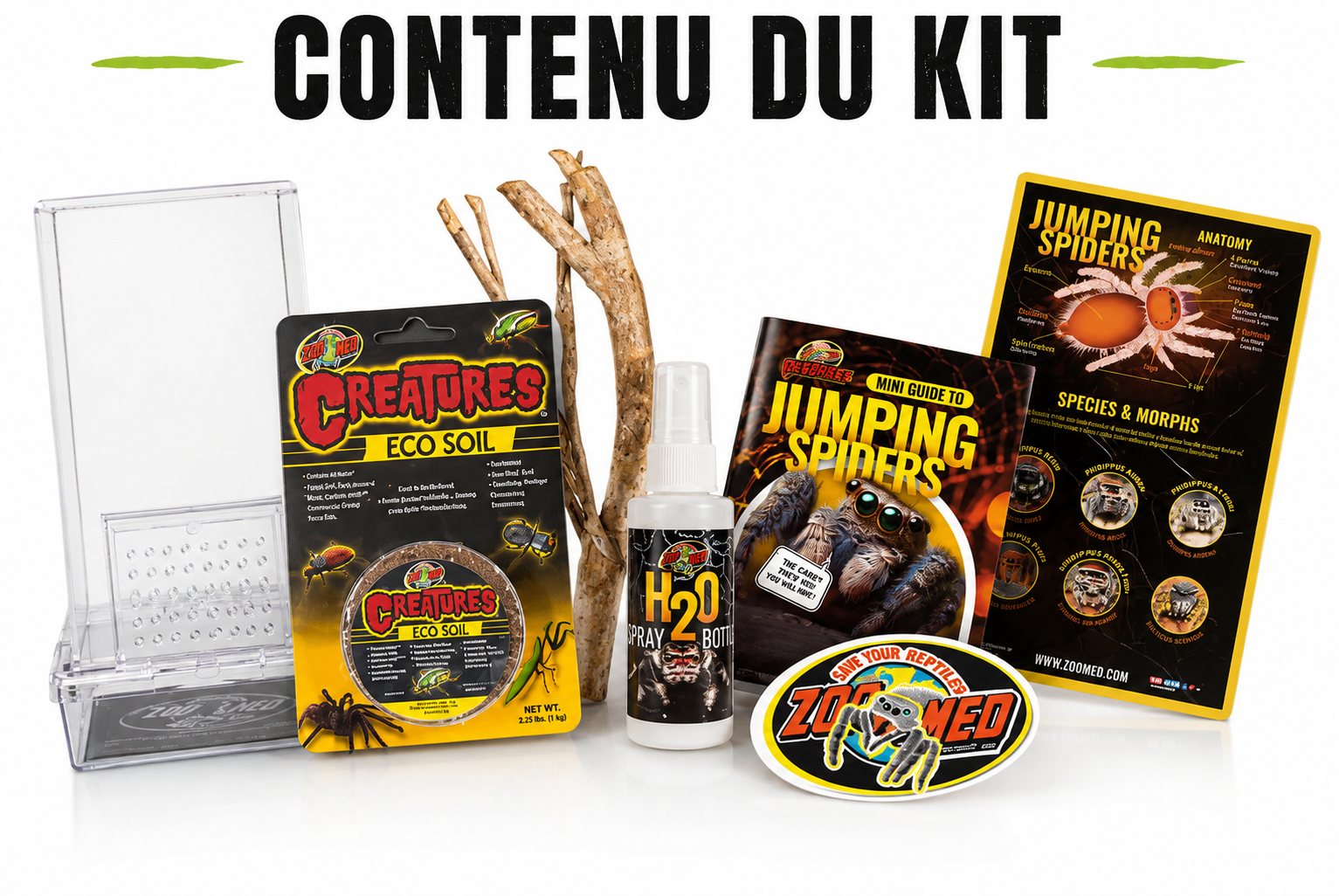 zoomed-jumping-spider-kit-habitat-ventile-pour-arraignees-1-3