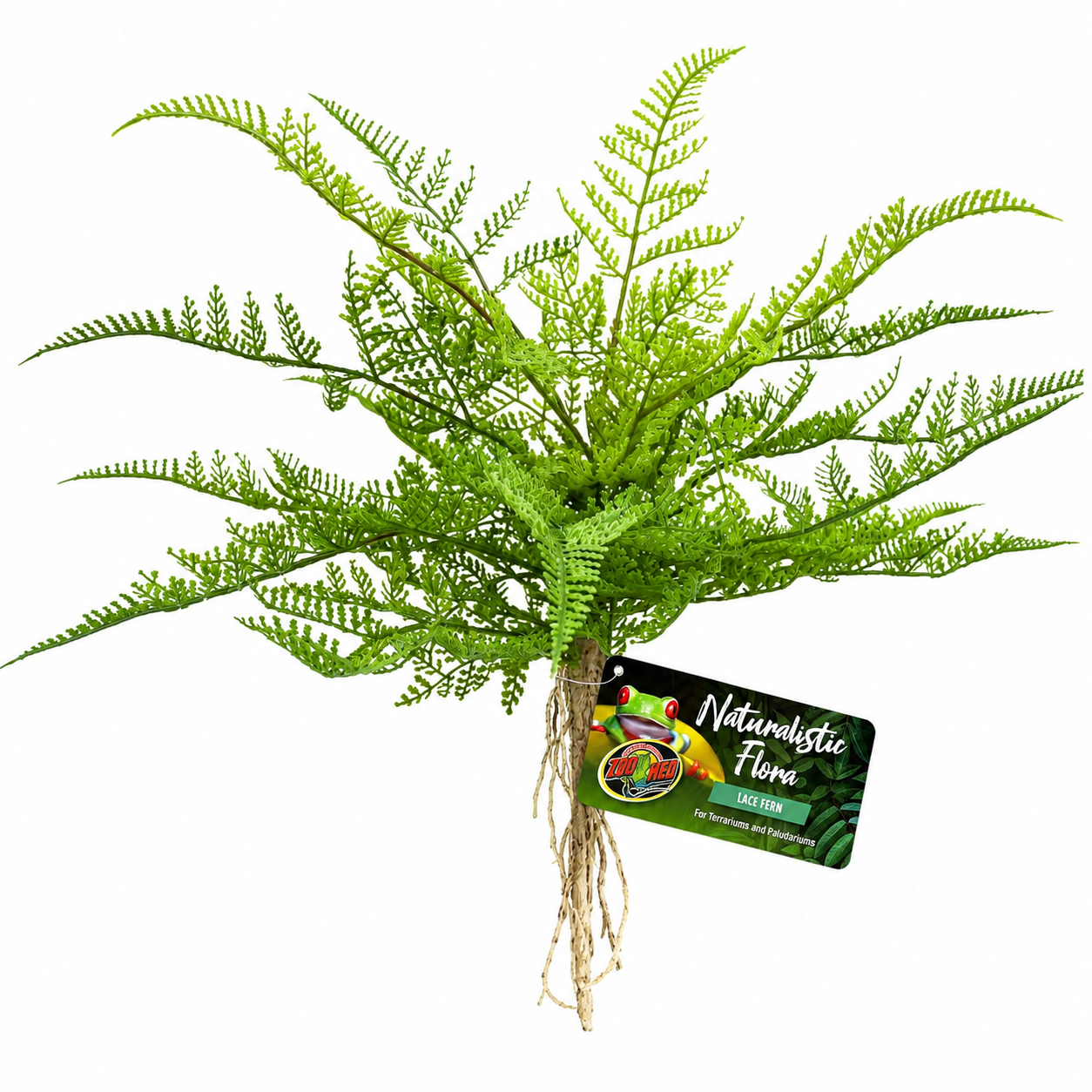 ZOOMED Naturalistic Flora Lace Fern plante artificielle décorative pour terrarium