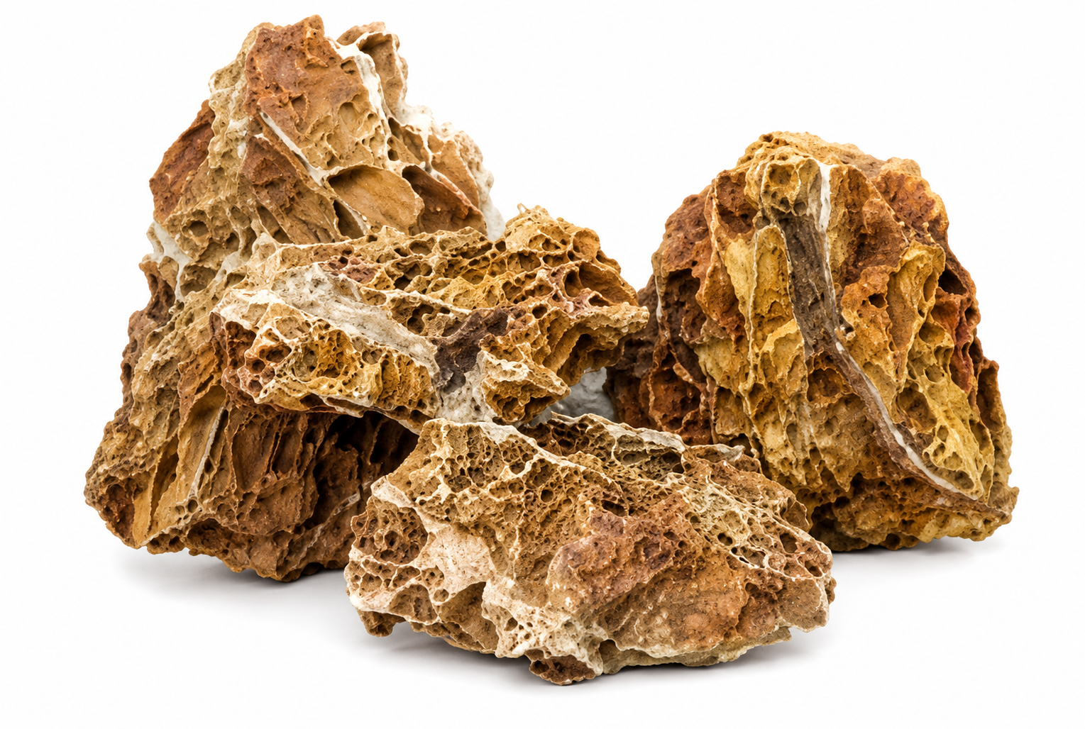 SCALARE Maple Stone 0,4 à 1 Kg roche naturelle vendue à l\'unité pour aquarium d\'eau douce et terrarium