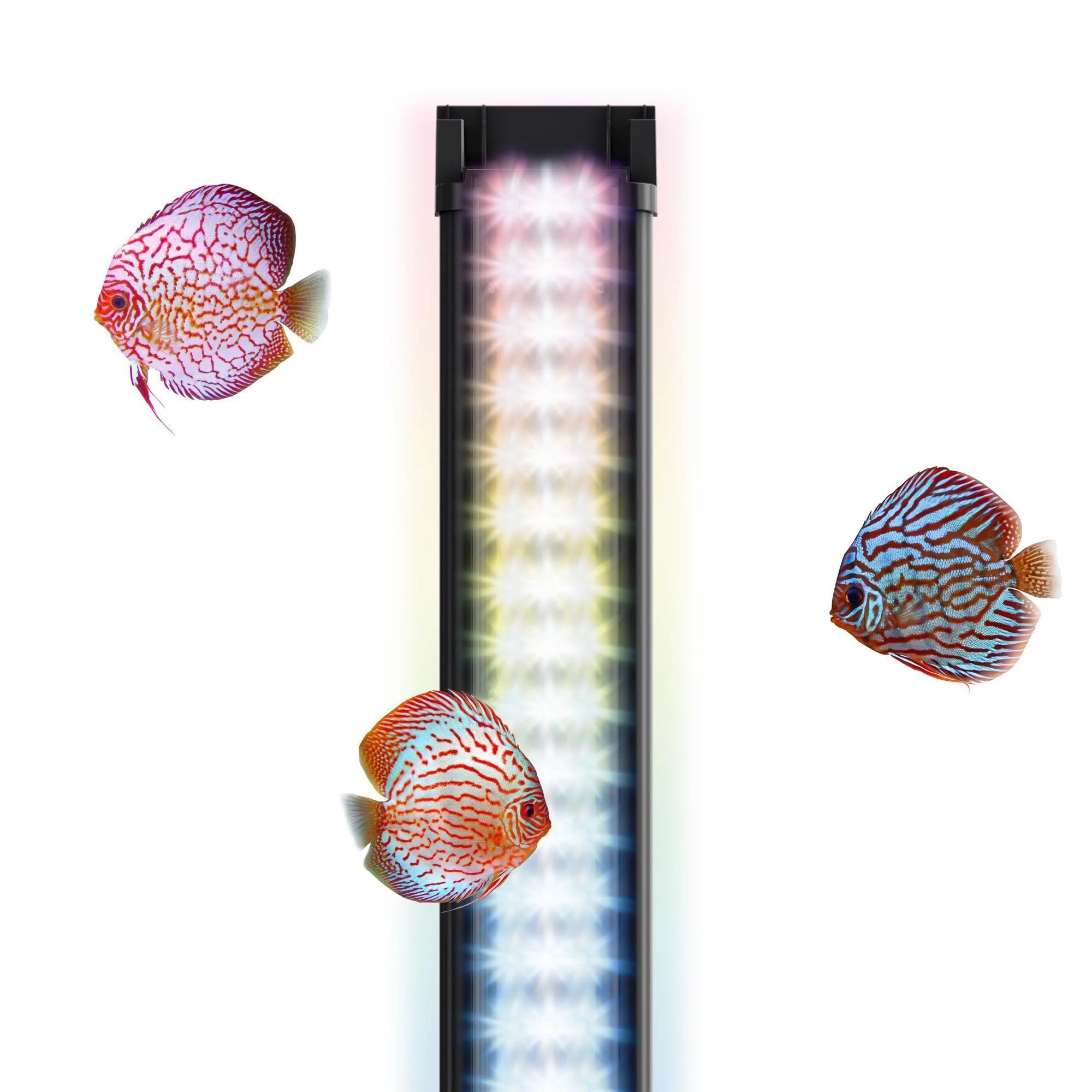 juwel-helialux-spectrum-2-0-reglette-led-universelle-ou-pour-aquariums-JUWEL