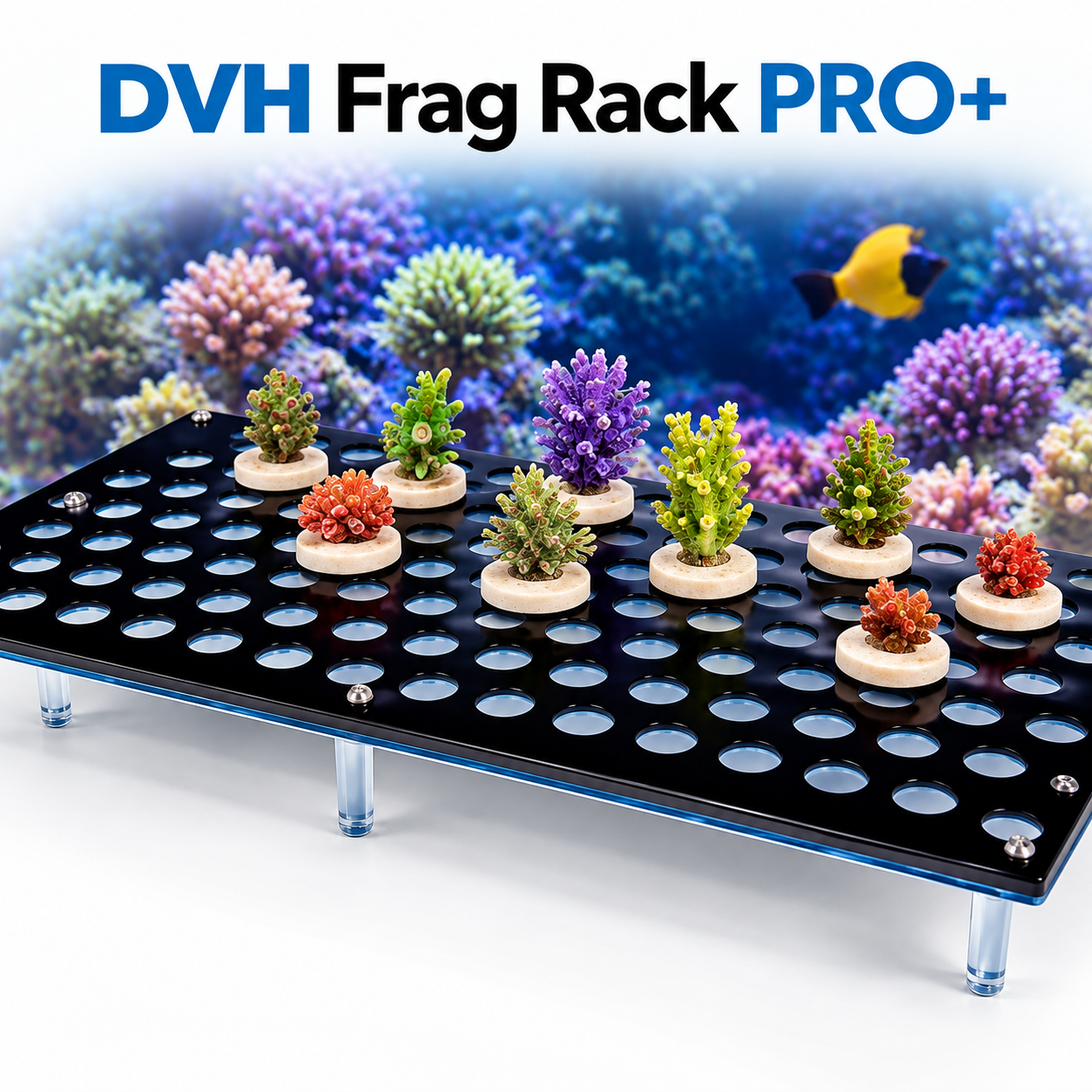 dvh-frag-rack-pro-support-a-boutures-professionnel-pour-coraux-avec-capacite-jusqu-a-149-frags-1
