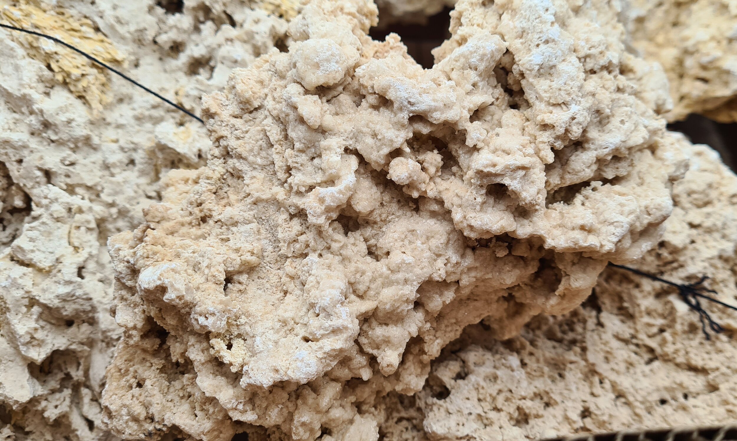 aquavie-reef-rock-box-18-kg-roche-corallienne-inerte-pour-creer-la-base-decorative-de-votre-recif-2