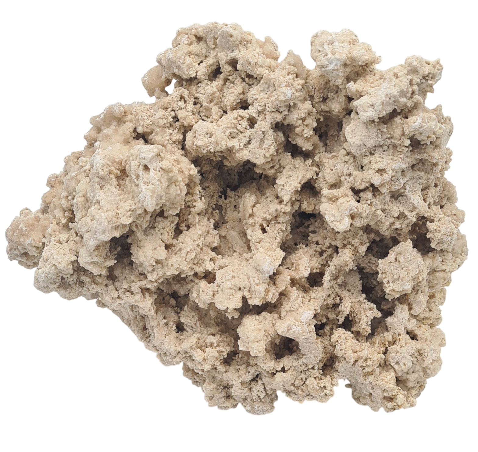 AQUAVIE Reef Rock 9 à 12 cm roche corallienne inerte pour créer la base décorative de votre récif