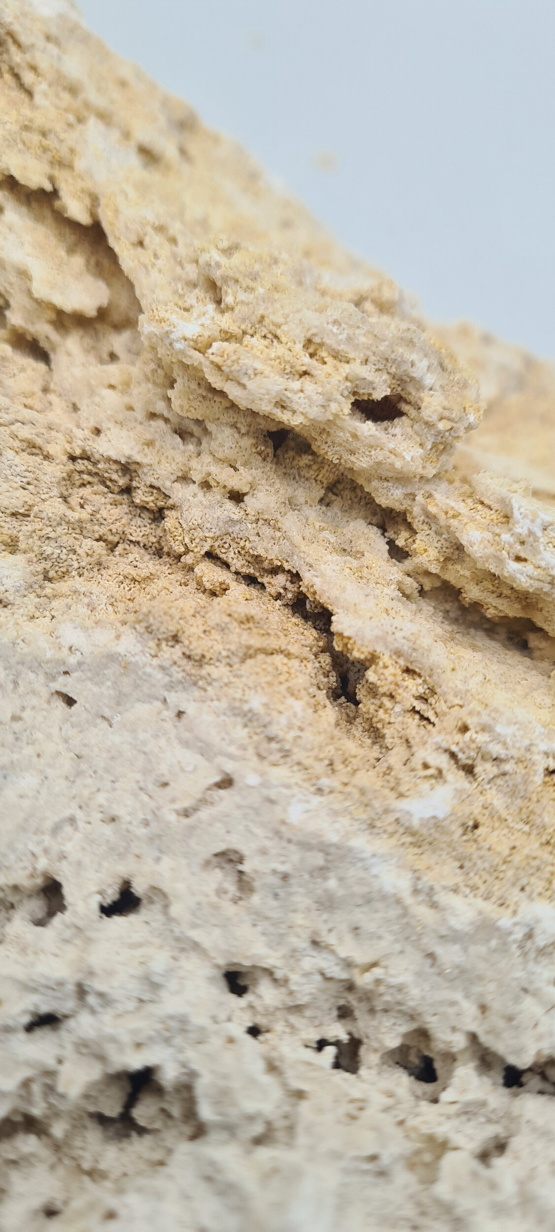aquavie-reef-rock-roche-corallienne-inerte-pour-creer-la-base-decorative-de-votre-recif-3
