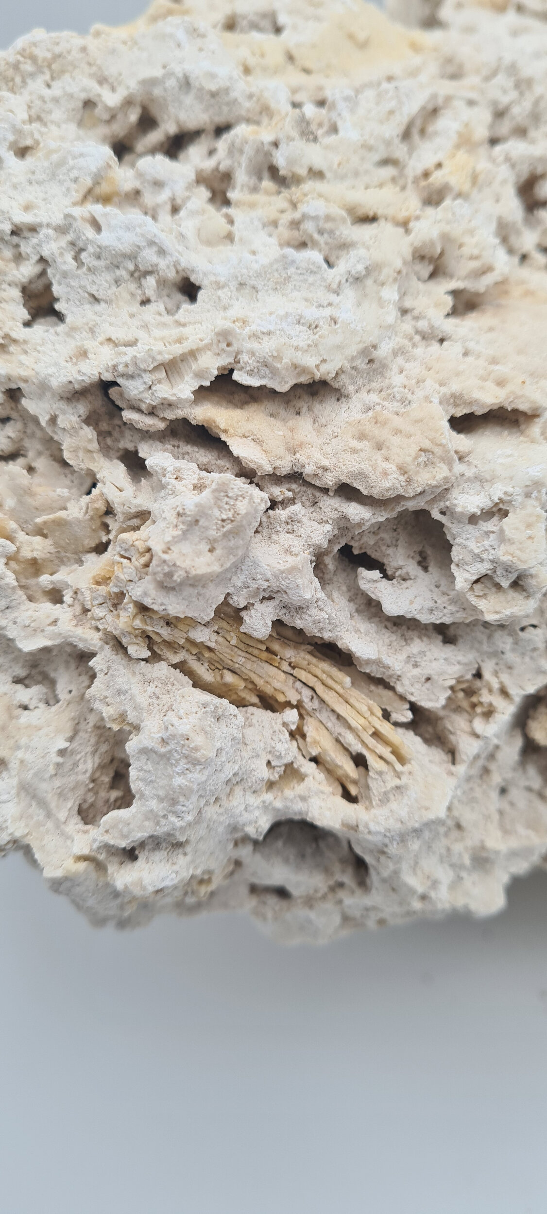 aquavie-reef-rock-roche-corallienne-inerte-pour-creer-la-base-decorative-de-votre-recif-1