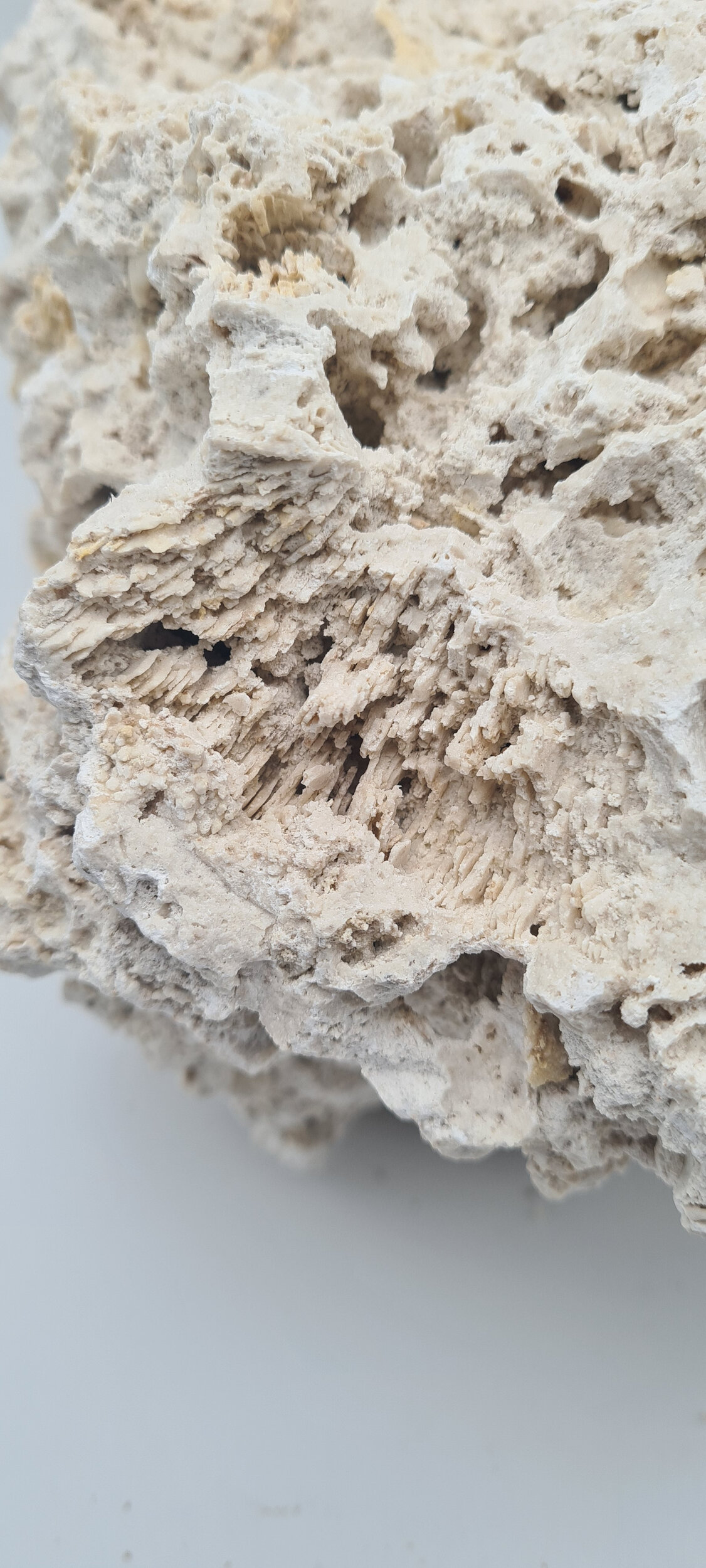 aquavie-reef-rock-roche-corallienne-inerte-pour-creer-la-base-decorative-de-votre-recif-2