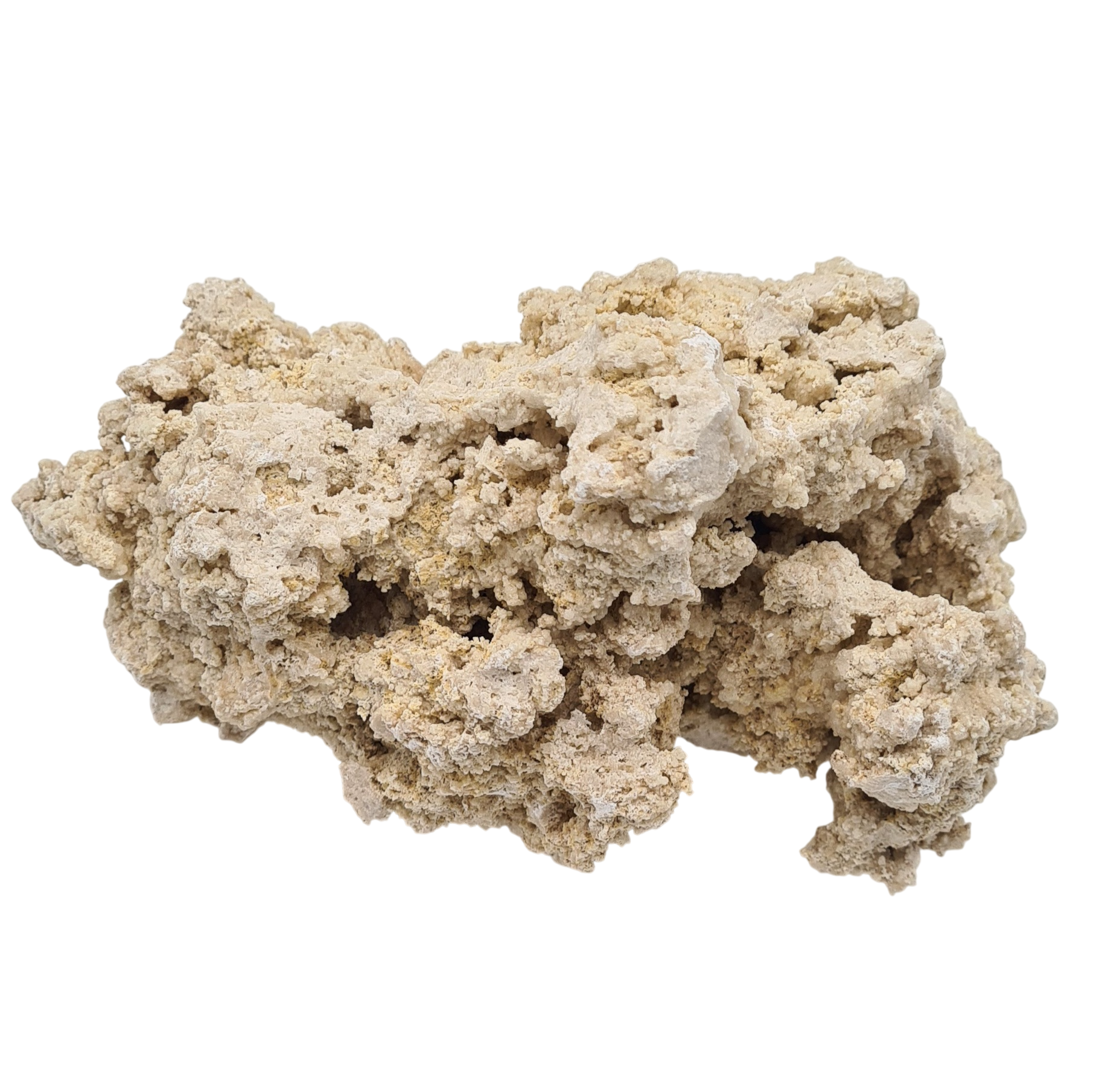 AQUAVIE Reef Rock 13 à 20 cm roche corallienne inerte pour créer la base décorative de votre récif
