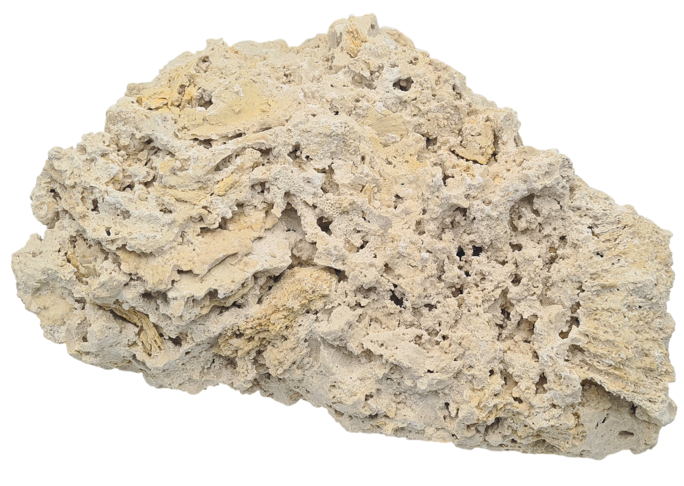 aquavie-reef-rock-25-a-45-cm-roche-corallienne-inerte-pour-creer-la-base-decorative-de-votre-recif