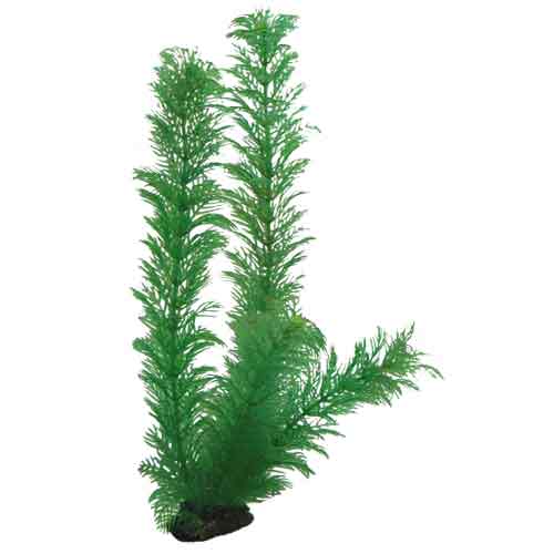 HOBBY Egeria 34cm plante artificielle pour aquarium