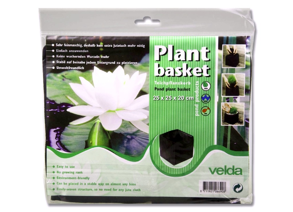 plant+basket -1
