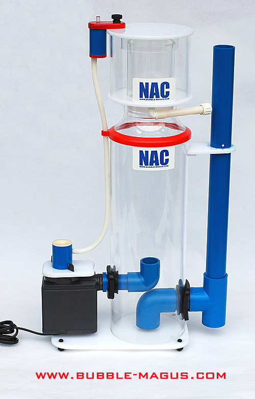 bubble-magus-nac-5