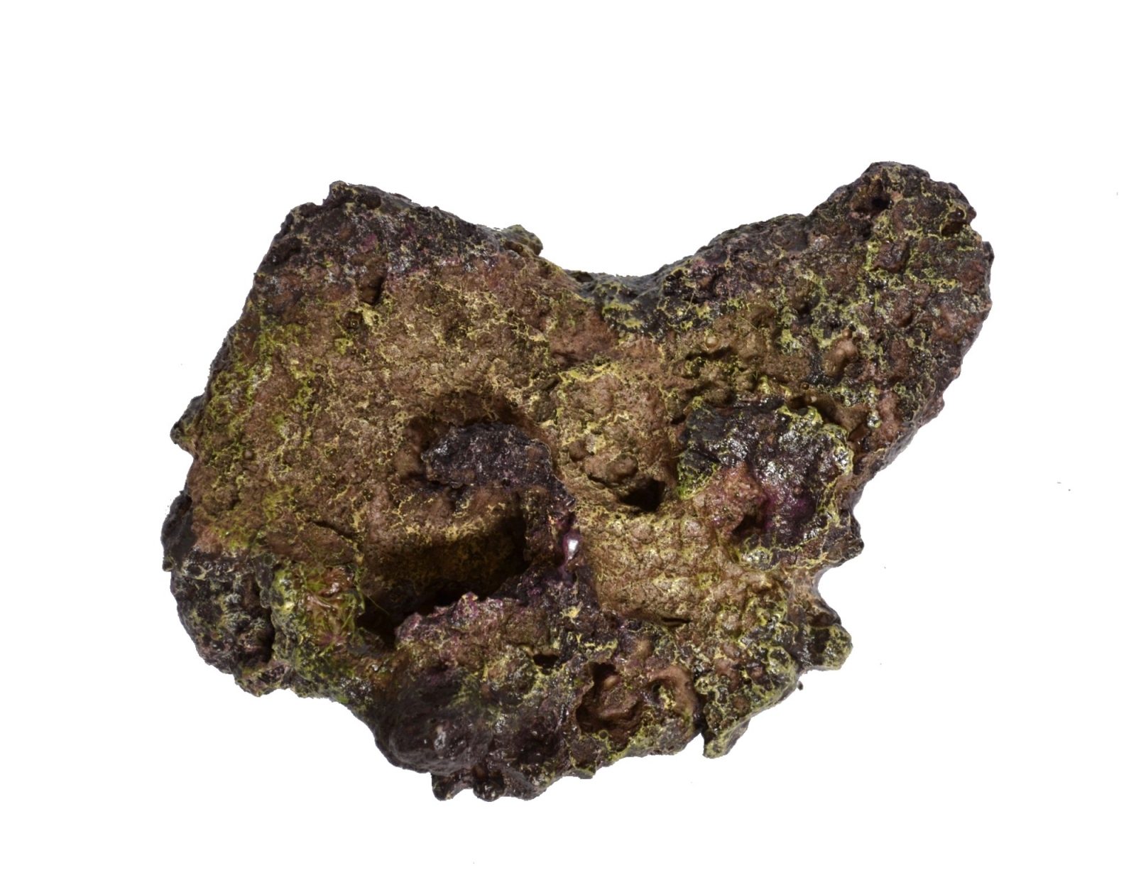 DELTEC Reef ArtiRock 28762 reproduction de pierre vivante 21 x 13,5 x 6,5 cm