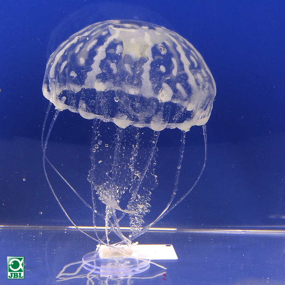 jbl-medusa-1