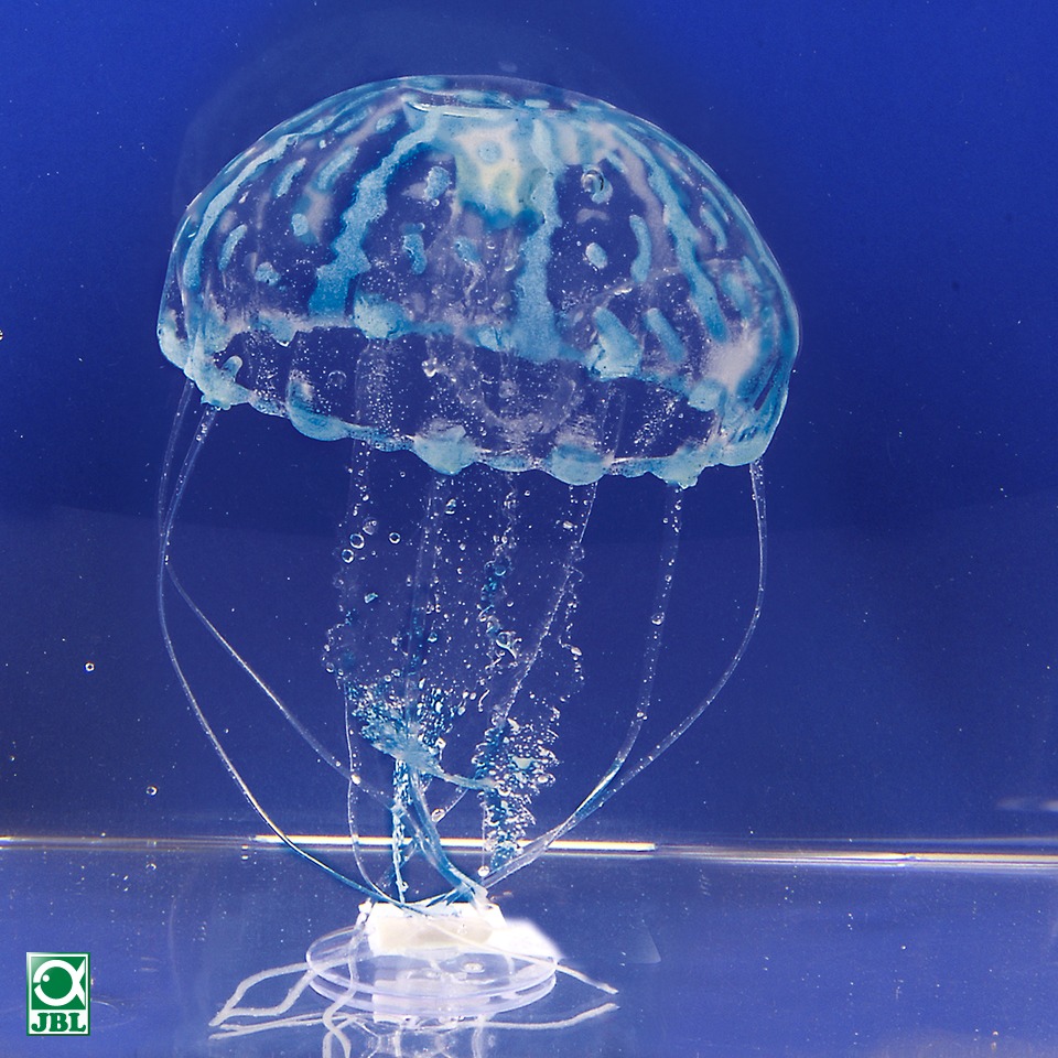 jbl-medusa-bleu-2