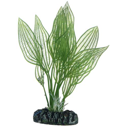 HOBBY Aponogeton 16 cm plante artificielle pour aquarium