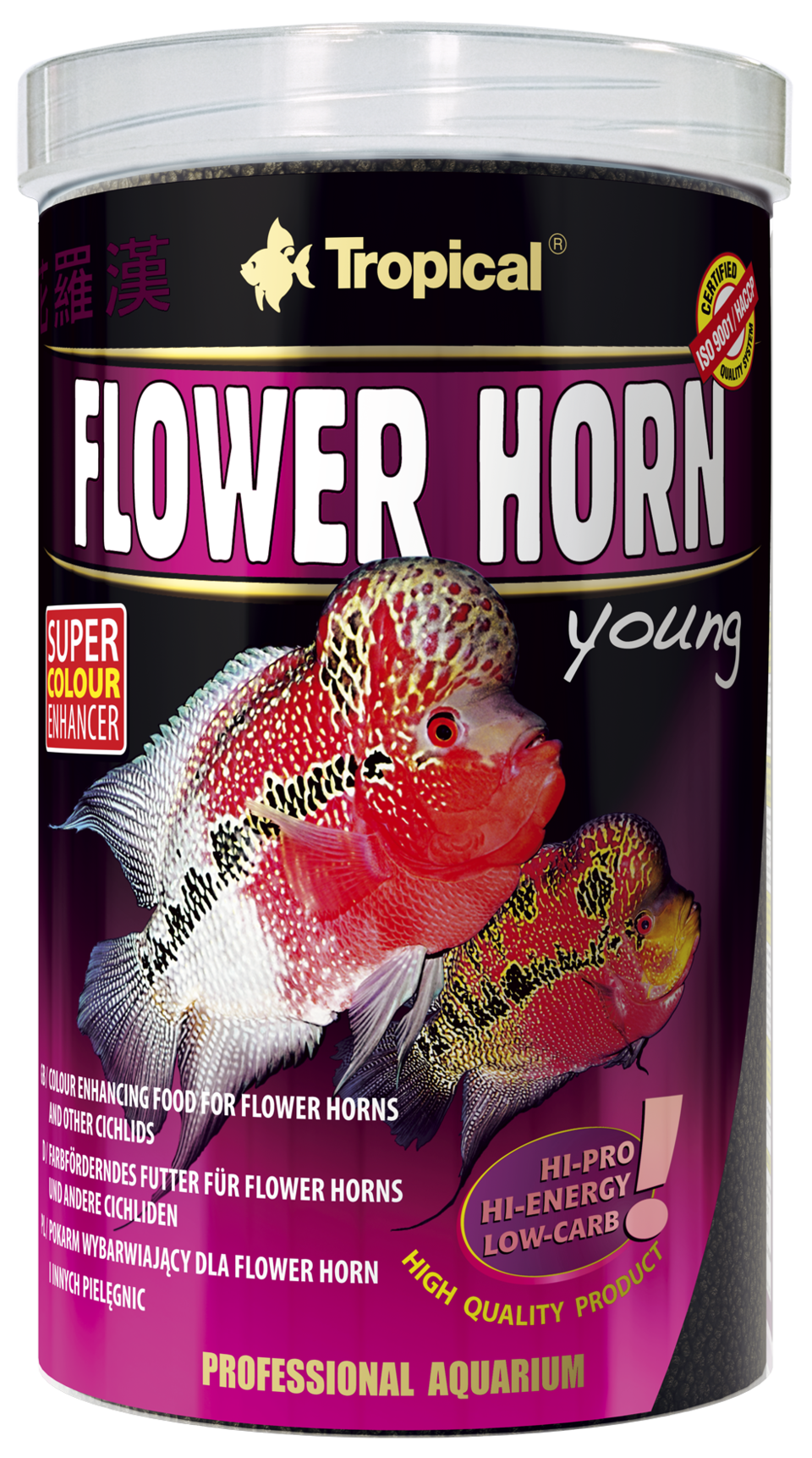 csm_flower-horn-young_1000_67667f520b