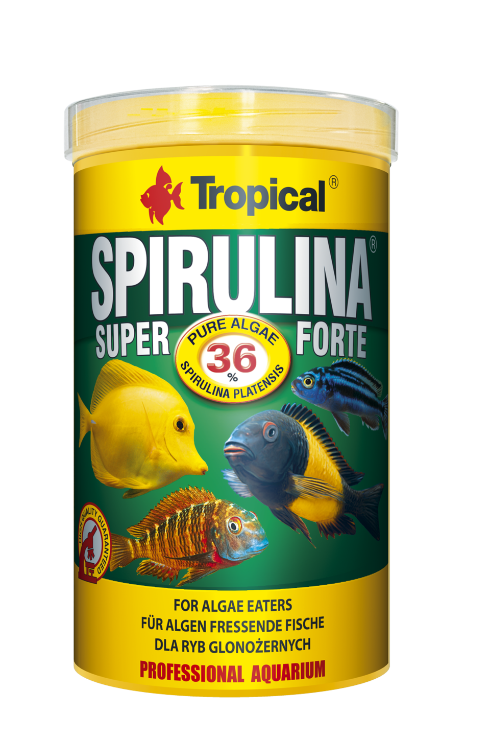 TROPICAL Super Spirulina Forte 1000ml nourriture végétale en flocons, à haute teneur en spirulina (36%)