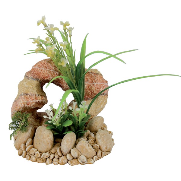 decor-roche-plantee