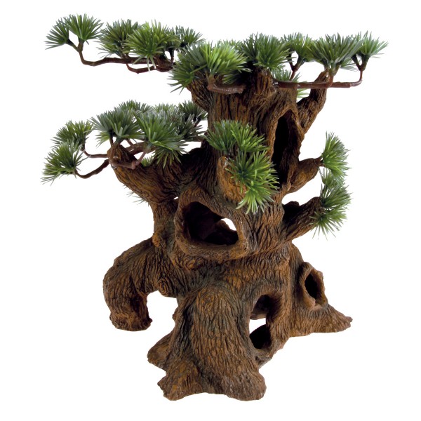 https://media.cdnws.com/_i/1792/8254/2064/56/decor-bonsai-a-trou.jpeg