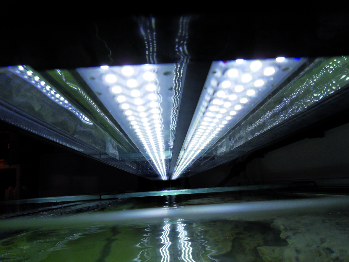 AQUAVIE Lumivie RAL SB rampes Leds 10000°k à lumière blanche pour eau douce  et eau de mer. Plus que 2 longueurs au choix. - Rampes et galeries/Rampes d' éclairage à LEDS -  