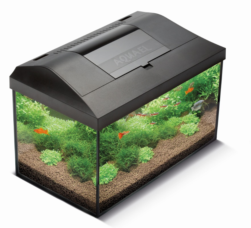 AQUAEL Leddy 60 aquarium équipé 60 x 30 x 30 cm, 54L avec éclairage ...