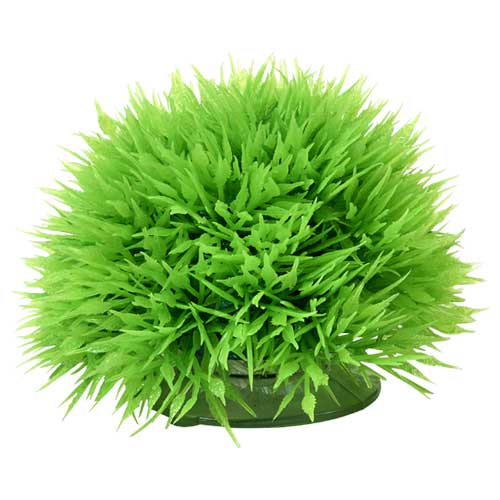 Hobby Plant Ball - Echte Alternative Zu Aquarienpflanzen