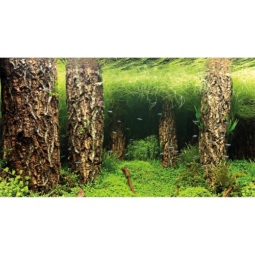 poster-aquarium-discount-1