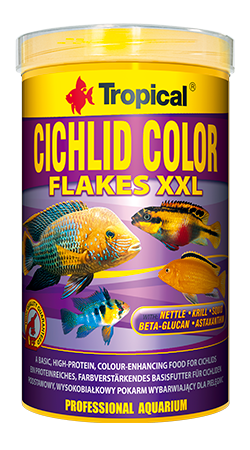 cichlid-color-xxl