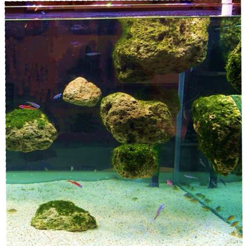 roche-flottante-aquarium