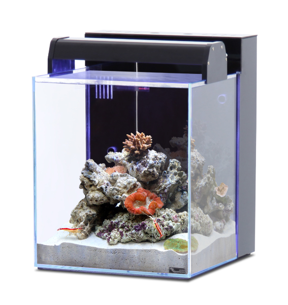 aquarium-aquatlantis-nano-marin-40-l
