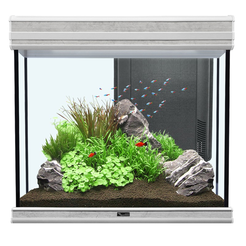 aquarium-aquatlantis-fusion-60-béton-ciré