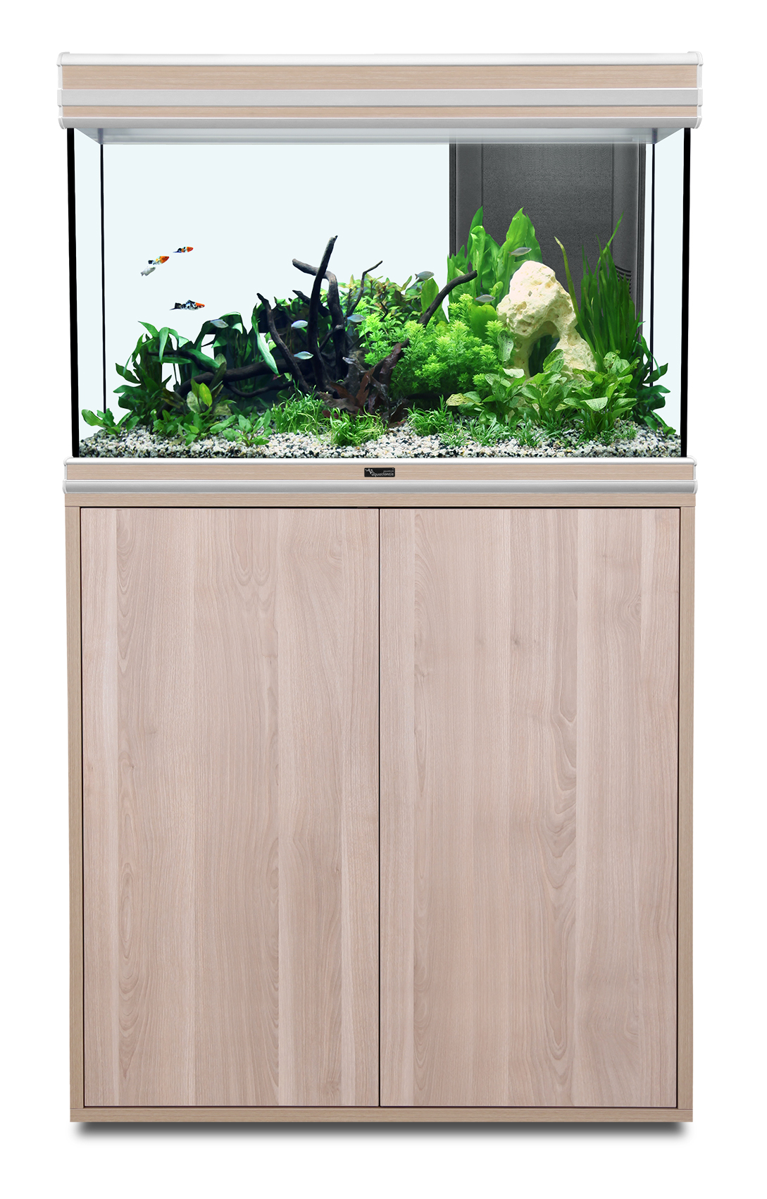 aquarium-aquatlantis-fusion-80-noyer-clair-meuble