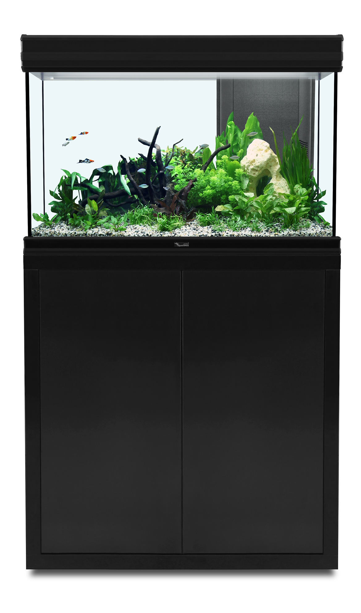 aquarium-aquatlantis-fusion-80-noir-meuble