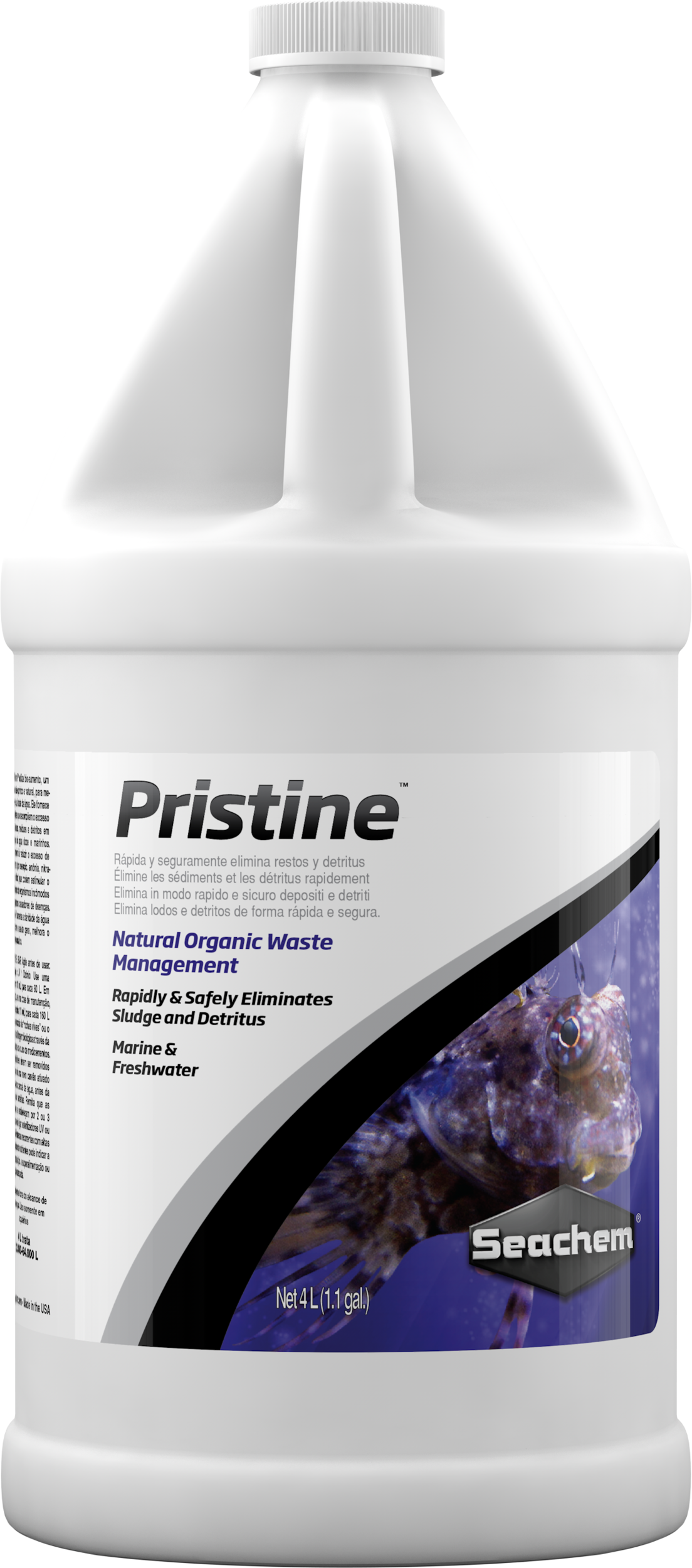 Pristine-4%20L