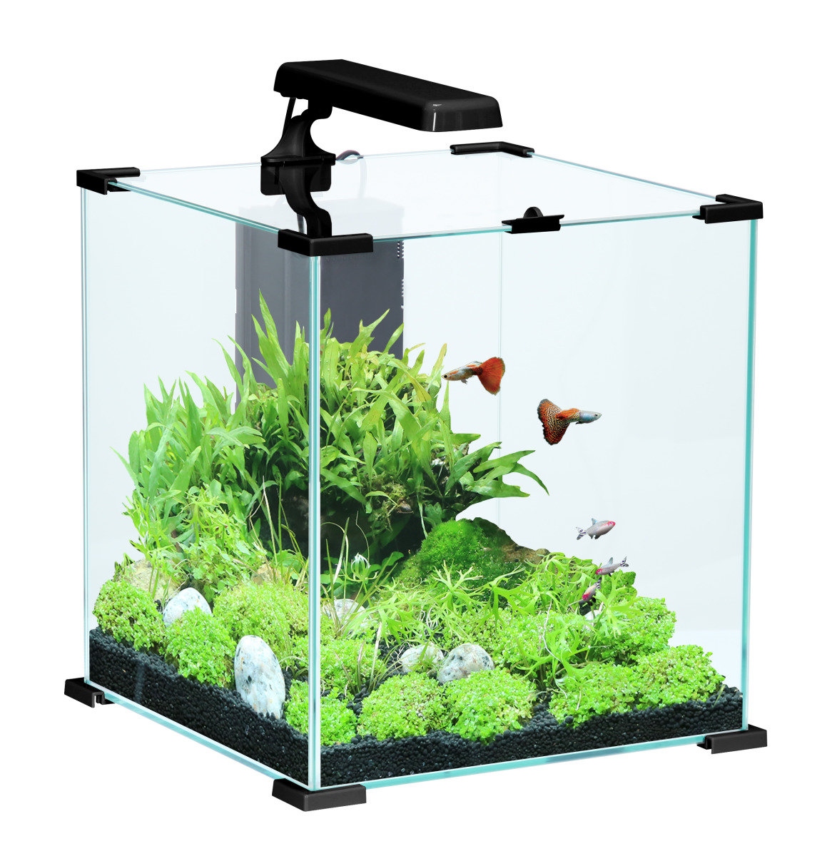 аквариум куб 30 литров
