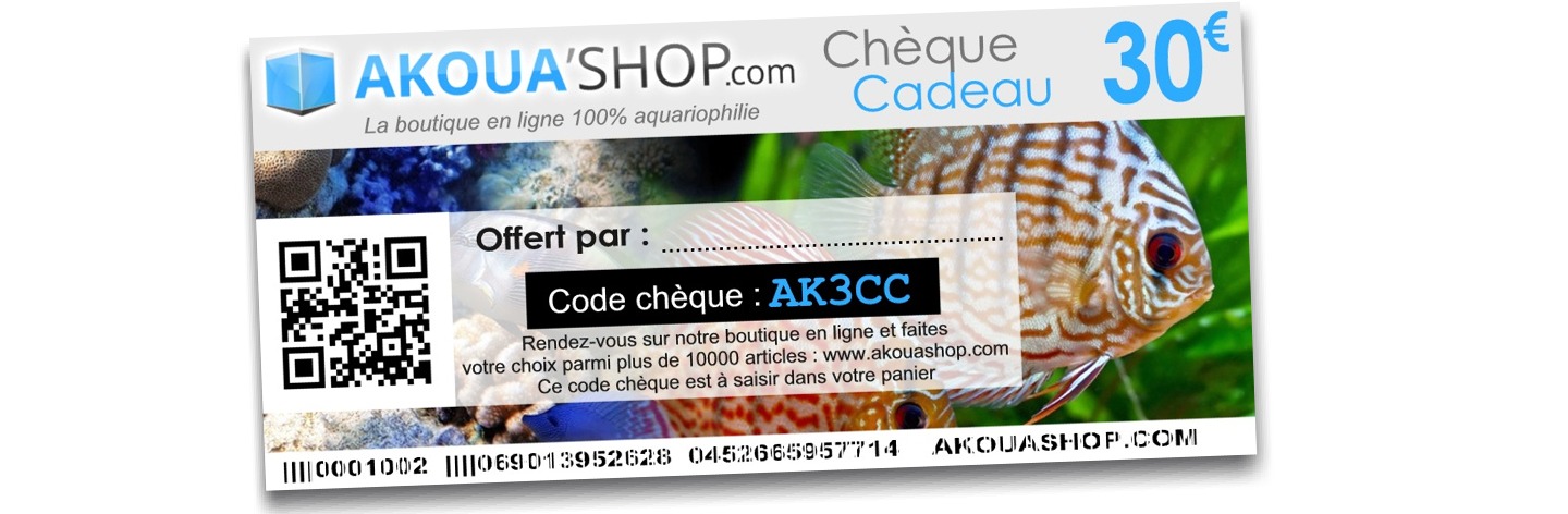 cheque cadeau site