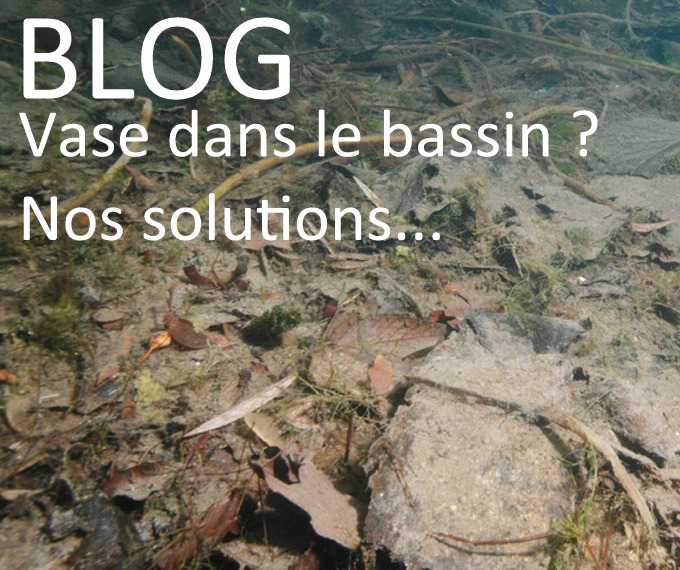 Comment éliminer la vase dans votre bassin de jardin ? Guide complet