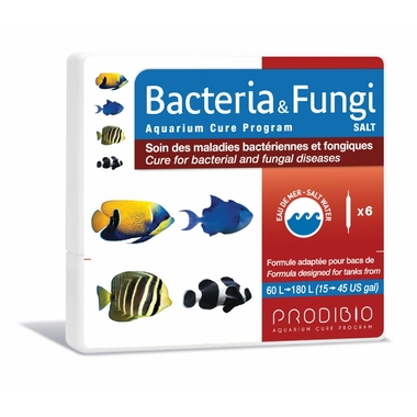 bacteria_fungi_salt_prodibio