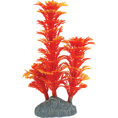 ZOLUX Nanolife Color Orange S plante artificielle 16 cm avec pour aquarium