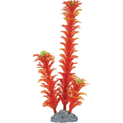 ZOLUX Nanolife Color Orange M plante artificielle 25 cm avec pour aquarium
