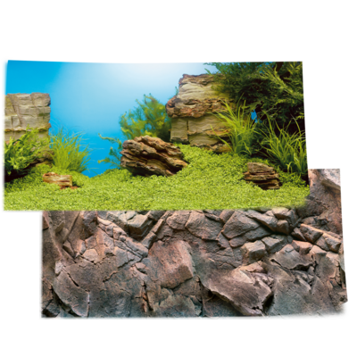 JUWEL Poster 1 XL 150 x 60 cm poster de fond double-face pour aquarium