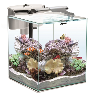 AQUAEL Nano Reef Duo 49L 2.0 aquarium 35 x 35 x 40 cm équipé pour l'eau de mer avec éclairage LEDs 10W et filtration