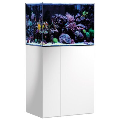 aqua-medic-armatus-250-blanc-kit-aquarium-eau-de-mer-de-190-l-avec-meuble-et-decantation-min