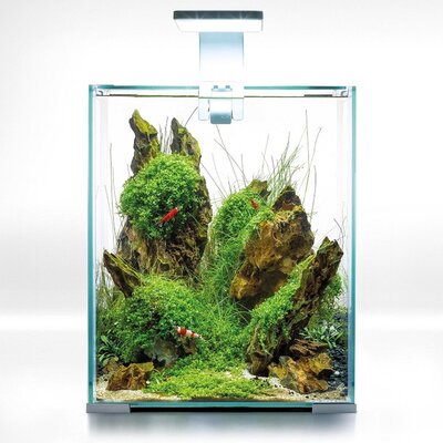 aquael-shrimpset-day-night-20-blanc-nano-aquarium-19l-tout-equipe-25-x-25-x-30-cm