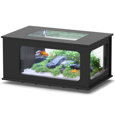 aquatlantis-aquatable-noir-100-x-63-cm-aquarium-177-l-type-table-basse-tout-equipe