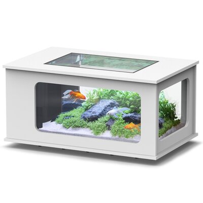 aquatlantis-aquatable-blanc-100-x-63-cm-aquarium-177-l-type-table-basse-tout-equipe
