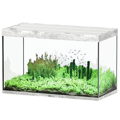 aquatlantis-aquarium-sublime-pro-led-2-0-120-x-60-x-75-cm-beton-aquarium-517-l-avec-meuble