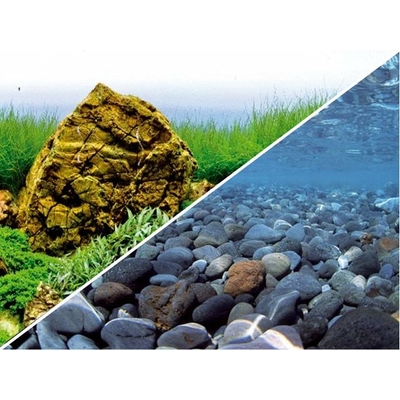 Poster d'aquarium à la coupe pour aquarium "Fond de rivière" ou "Aquarium planté", imprimé sur deux faces. Hauteur 29, 45 ou 60 cm